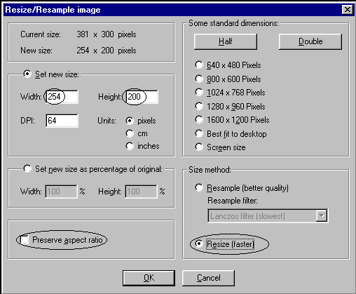 IrfanView Image Resize/Resample Dialog